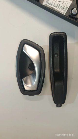 Panel de Puerta Renault Clio con Tirador
