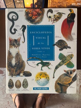 Pack de Libros
