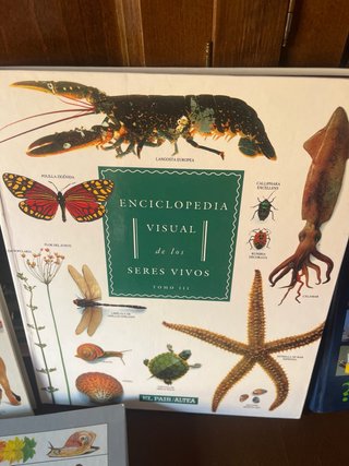 Pack de Libros