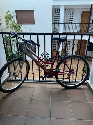 Bicicleta de Paseo Agece
