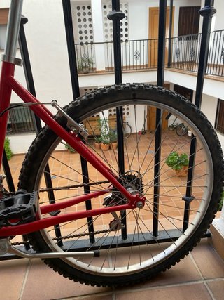 Bicicleta de Paseo Agece