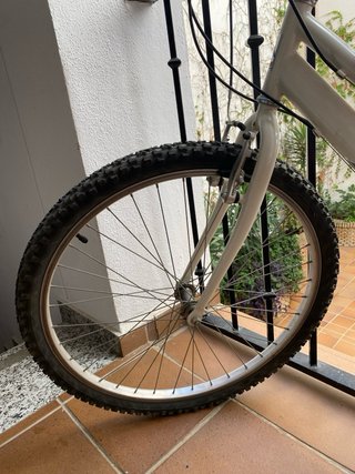 Bicicleta de Paseo Agece