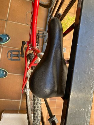 Bicicleta de Paseo Agece