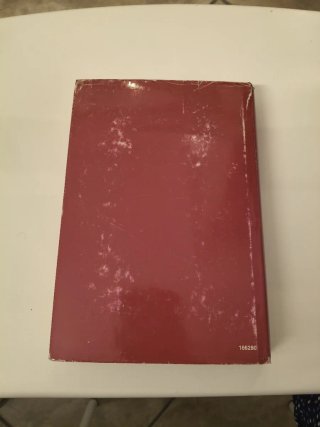 Fulmini Danielle Steel
