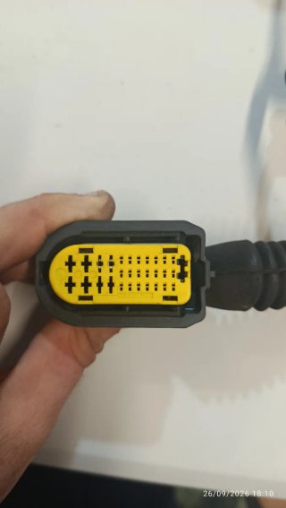 Ramal Eléctrico Puerta Trasera Renault Clio