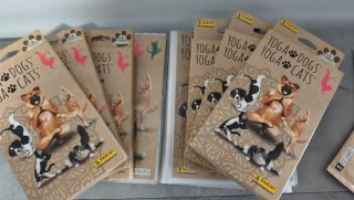 Caja de Cromos Yoga Dogs Yoga Cats Panini