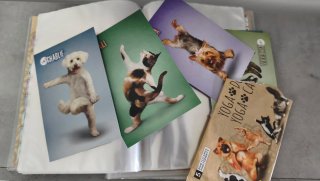 Caja de Cromos Yoga Dogs Yoga Cats Panini