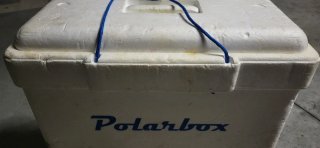 Nevera portátil Polarbox