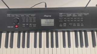 Teclado Ringway TB100 con Soporte y Banqueta