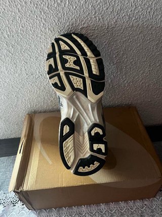 Zapatos Asics Beige/Plata