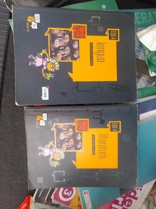 Lengua castellana y literatura, ESO 4
