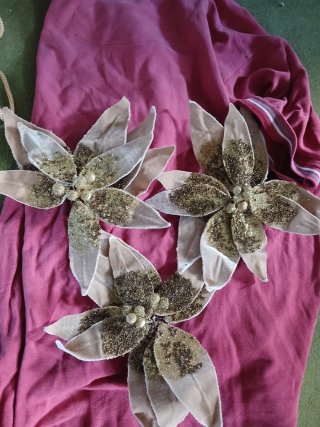 Stelle di Natale beige e dorate con clip