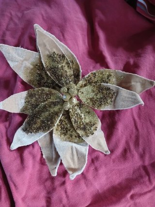 Stelle di Natale beige e dorate con clip