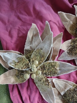Stelle di Natale beige e dorate con clip