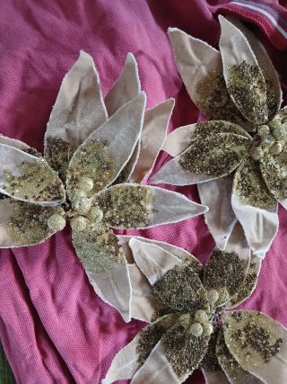 Stelle di Natale beige e dorate con clip