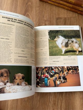 Lote 5 Tomos Enciclopedia Mis Amigos Los Perros