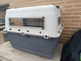 Transportín perro grande gris/blanco