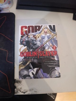 Goblin Slayer