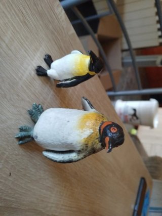 Pack 6 animales marinos