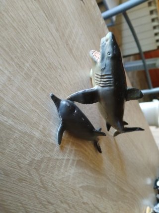 Pack 6 animales marinos