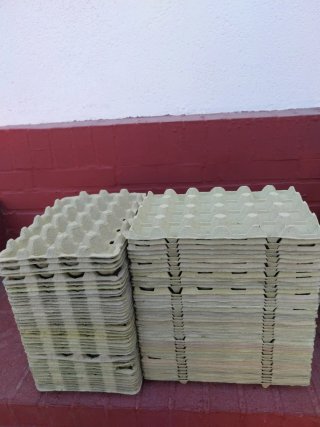 Lote 80 unidades de cartones para huevos 24