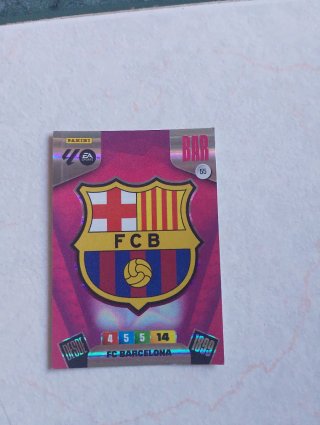 Cromo Panini FC Barcelona