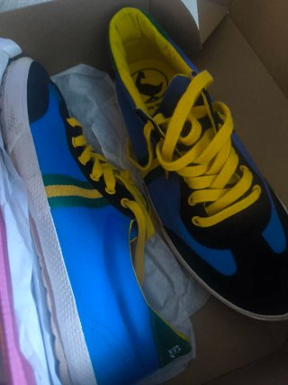 Zapatillas El Ganso Azul y Amarillo