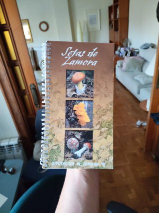 Libro setas Zamora
