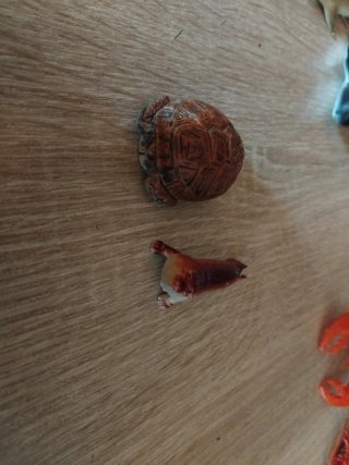 Pack 7 animales marinos