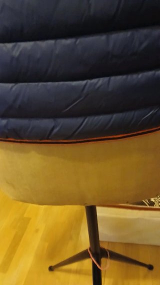 Cazadora azul marino con capucha