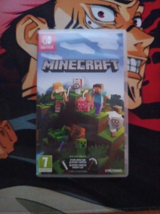 Minecraft Nintendo Switch