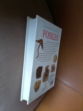 FÓSILES