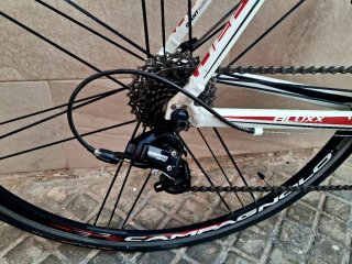 Giant Defy Bicicleta de Carretera