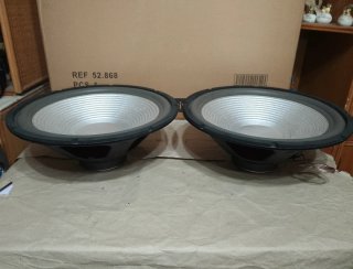 Pareja Altavoces 15"( 38cm)