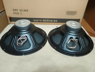 Pareja Altavoces 15"( 38cm)