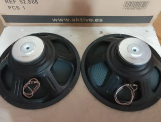 Pareja Altavoces 15"( 38cm)
