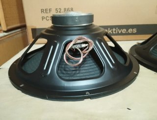 Pareja Altavoces 15"( 38cm)