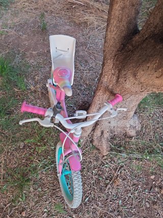 Bicicleta Infantil Rosa