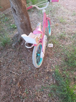 Bicicleta Infantil Rosa