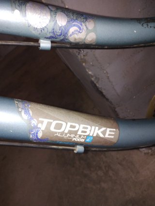 Bicicleta de Montaña Topbike Aluminio