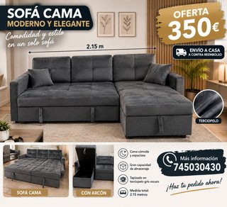 Sofá Cama Gris con Arcón y Tapizado Terciopelo