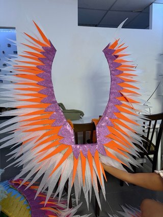 Disfraz Carnaval Alas Plumas