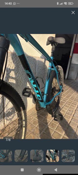 Bicicleta azul