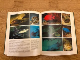 Enciclopedia de la naturaleza