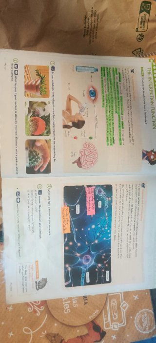 Natural Science 6, Primary, Global Thinkers
