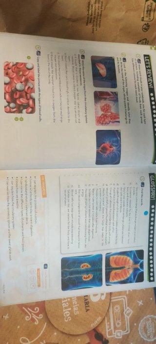 Natural Science 6, Primary, Global Thinkers