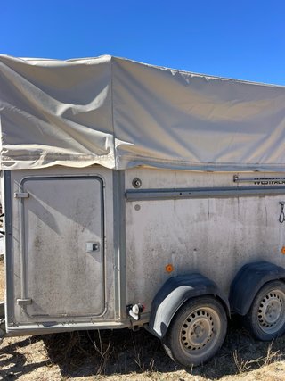 Remolque Van Westfalia para 2 Caballos
