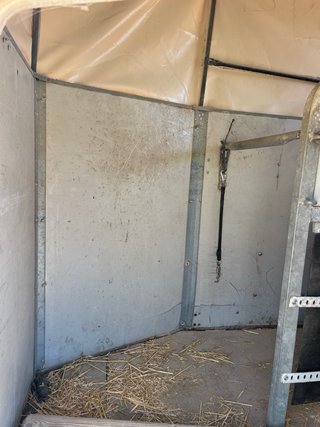 Remolque Van Westfalia para 2 Caballos
