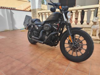 Harley Davidson Sportster 883 Negra