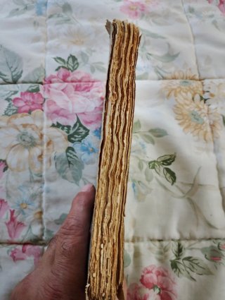 Libro Antiguo Lourdes, Catecismo Viviente